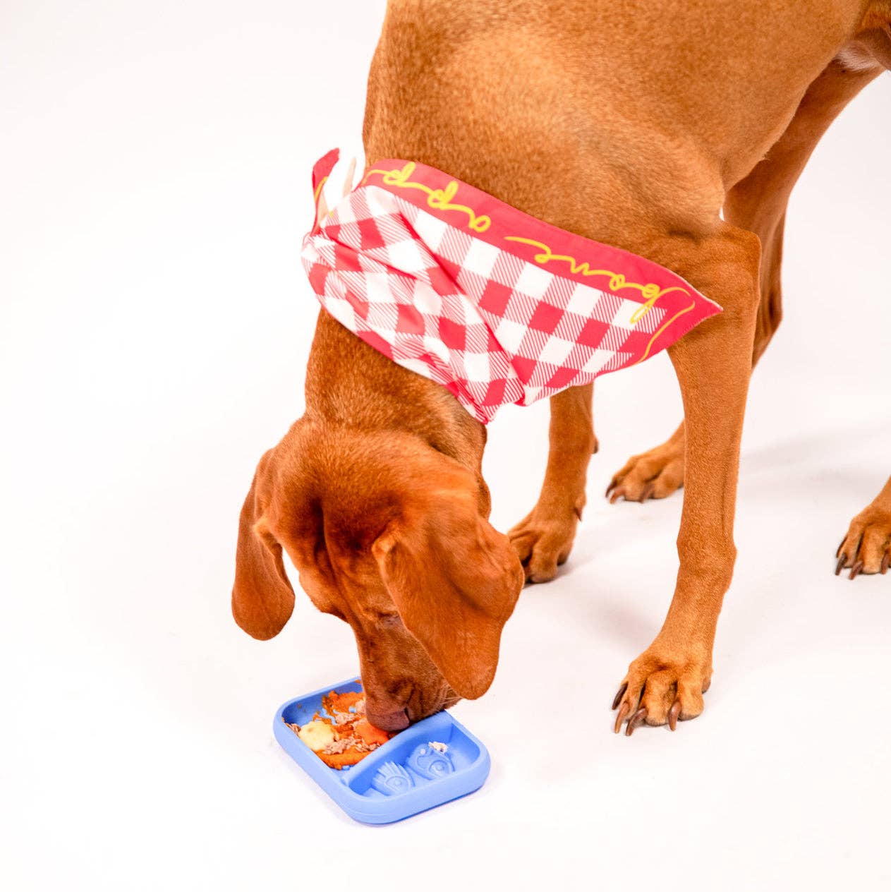 Sardina Lick Mat & Slow Feeder