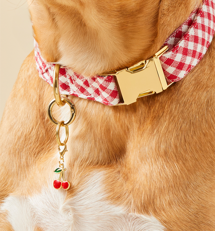 Cherries Collar Charm