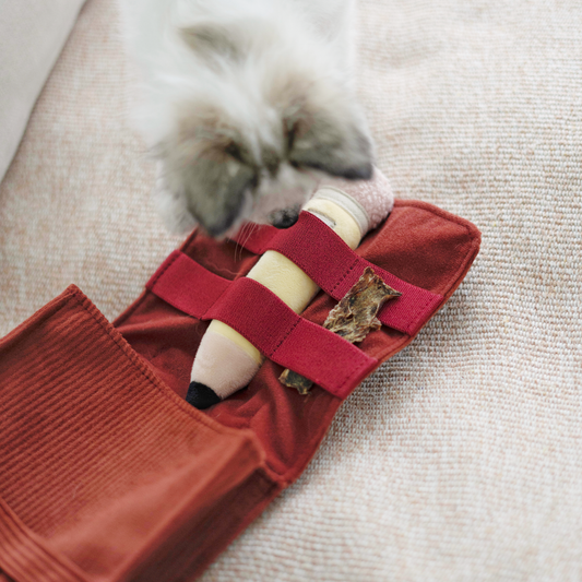 2-in-1 Back to School Enrichment Play Set