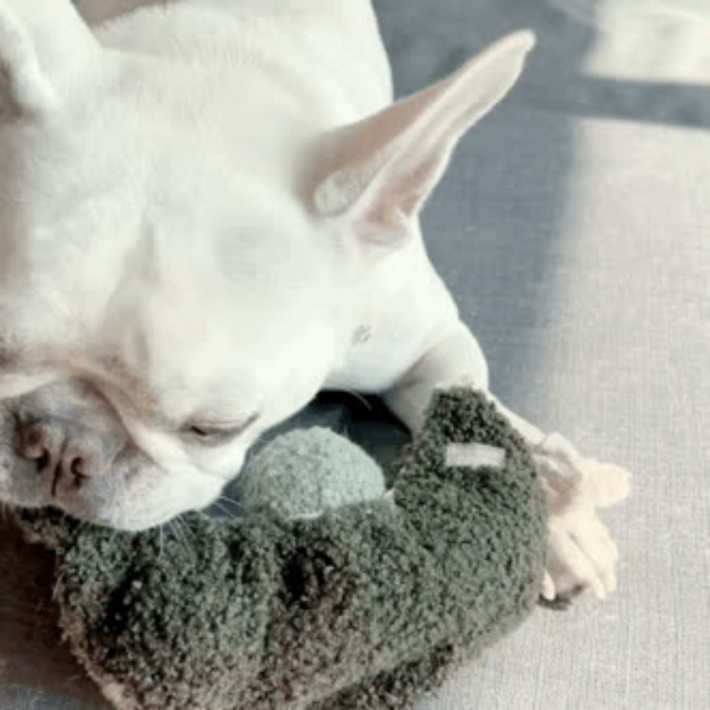 Pea Pop Dog Enrichment Toy