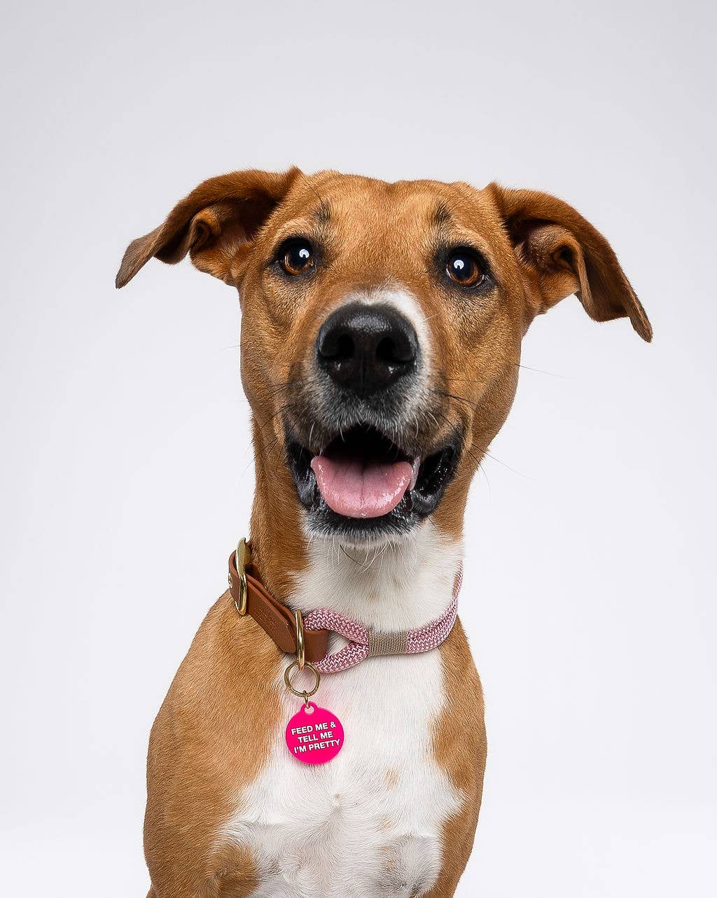 Feed Me & Tell Me I'm Pretty Pet Tag