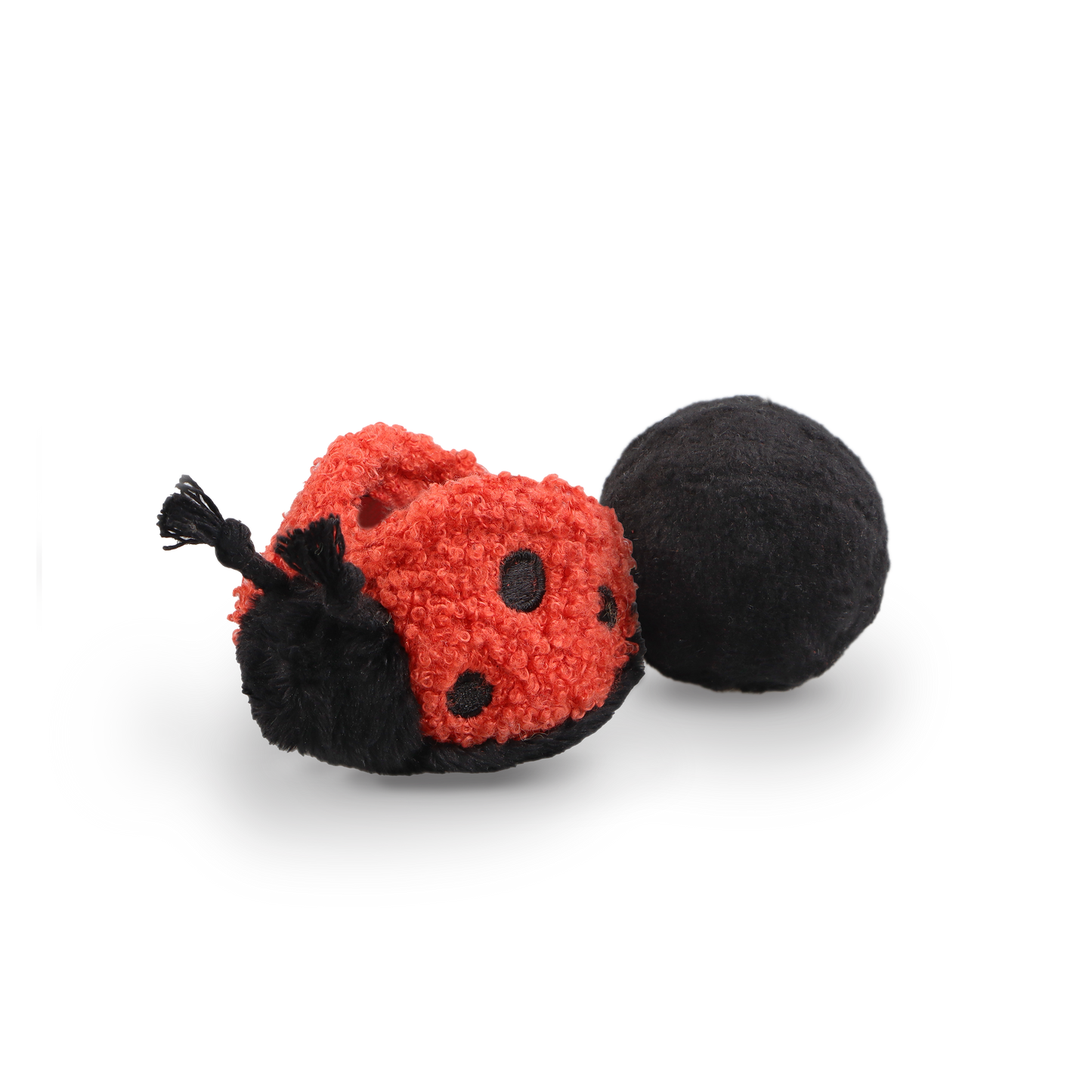 Ladybug Pop Enrichment Toy