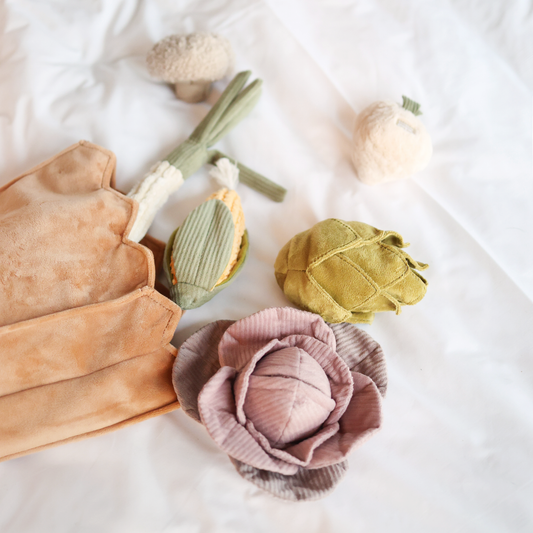 Farmer's Market Set of Enrichment Toys