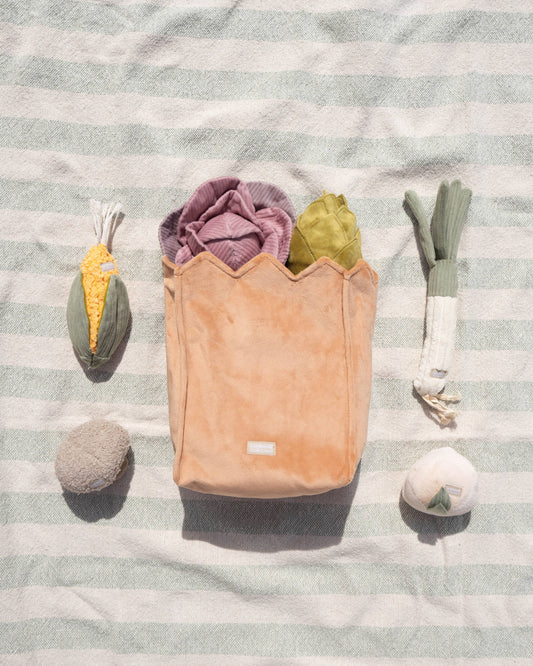 Farmer's Market Set of Enrichment Toys