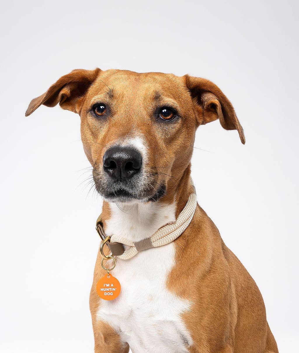 I'm a Huntin' Dog Pet Tag