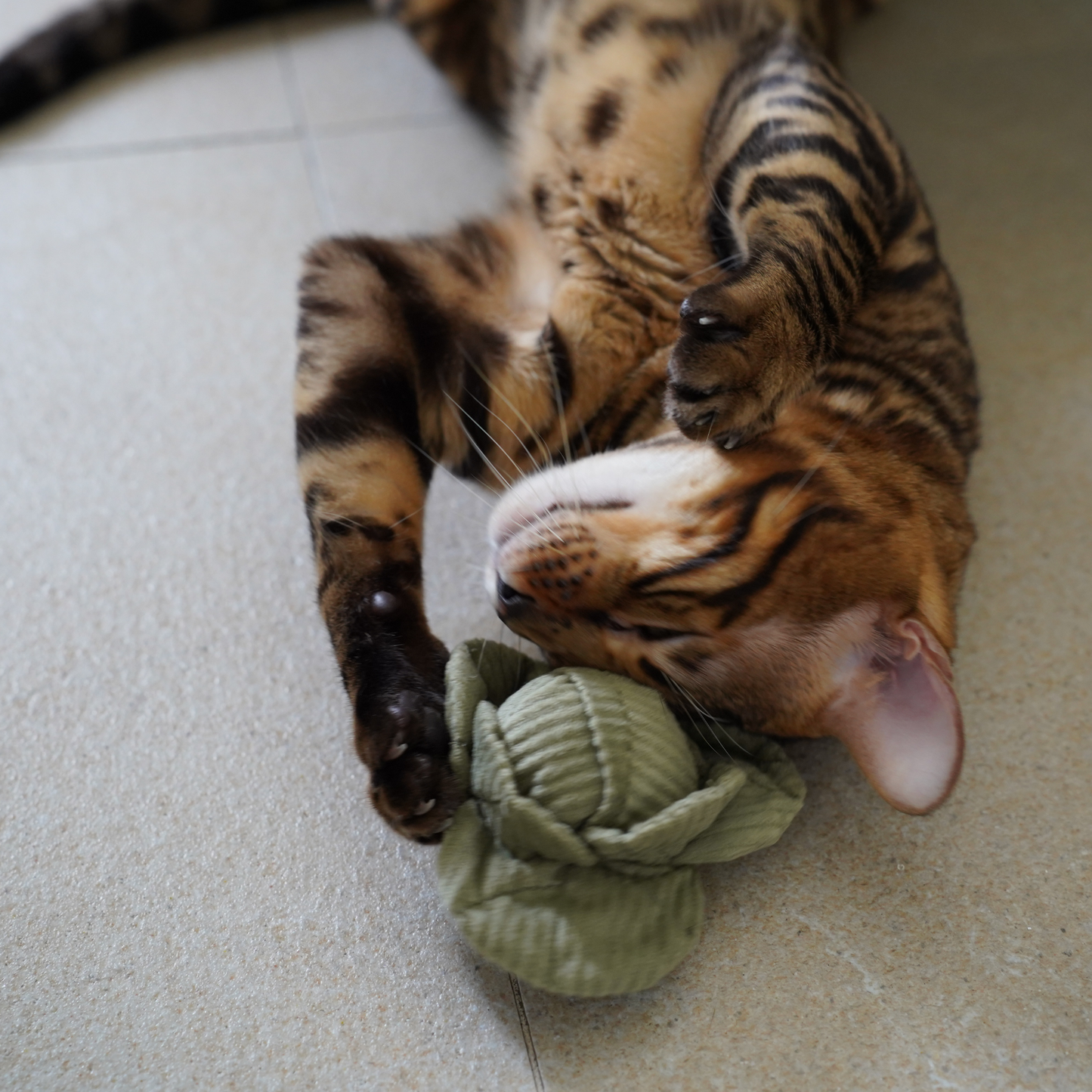 Kitty Veggie Set Toy