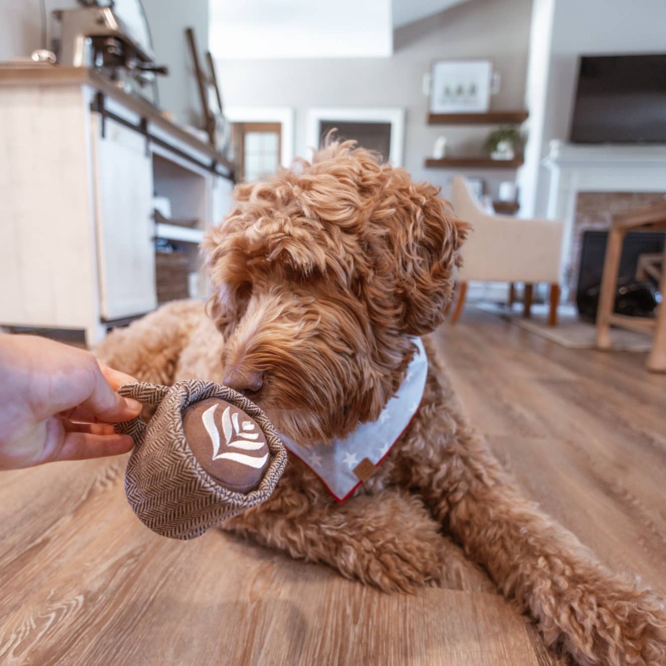 Latte Pop Enrichment Dog Toy