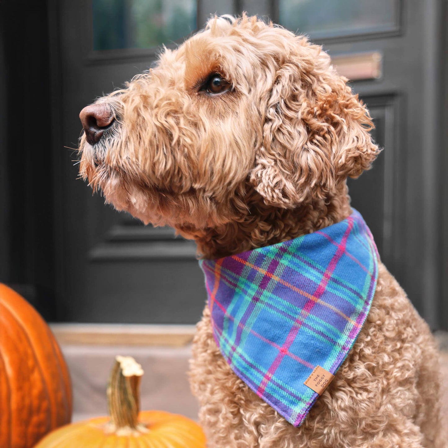 Piper Plaid Flannel Dog Bandana