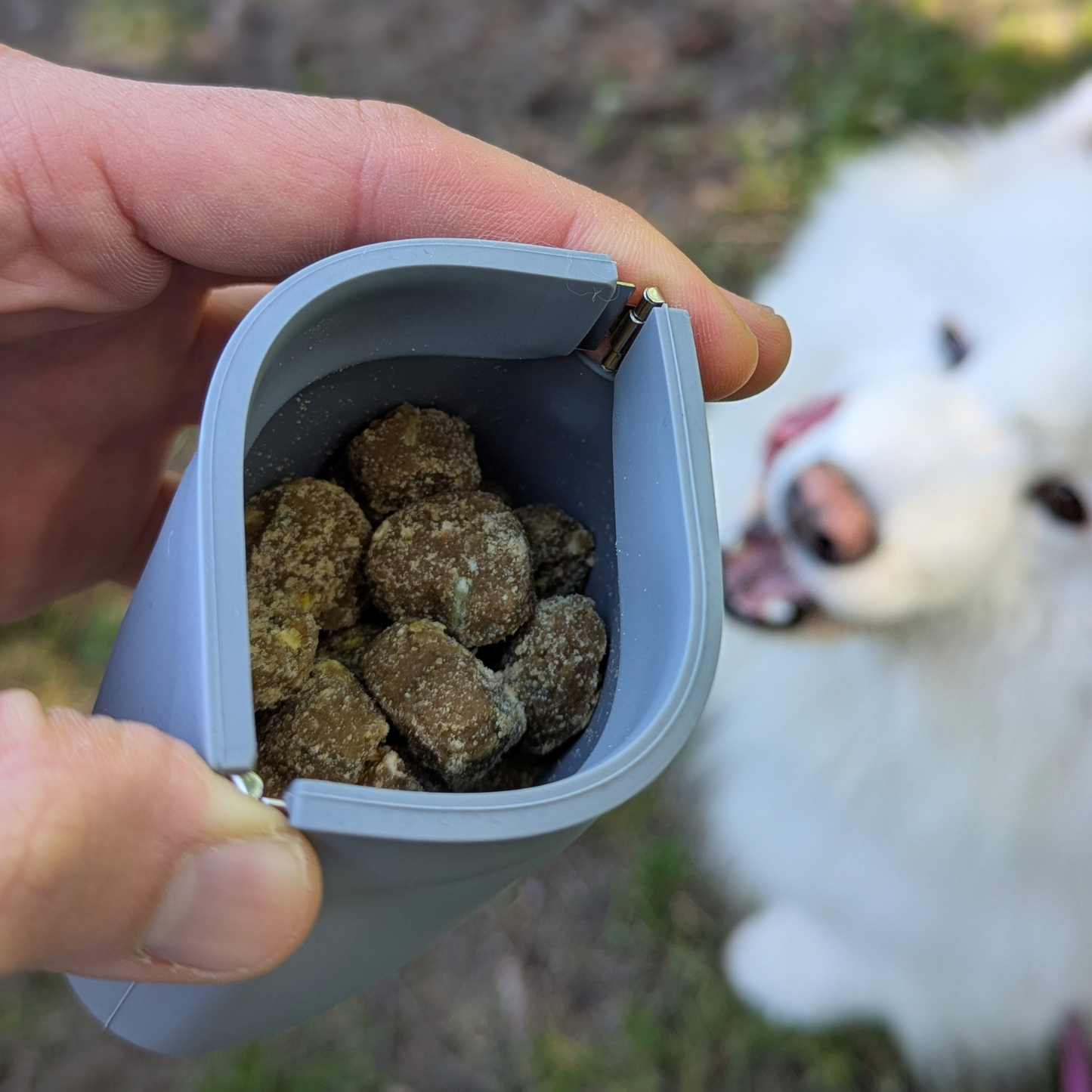 Up Dog Treat Pouch