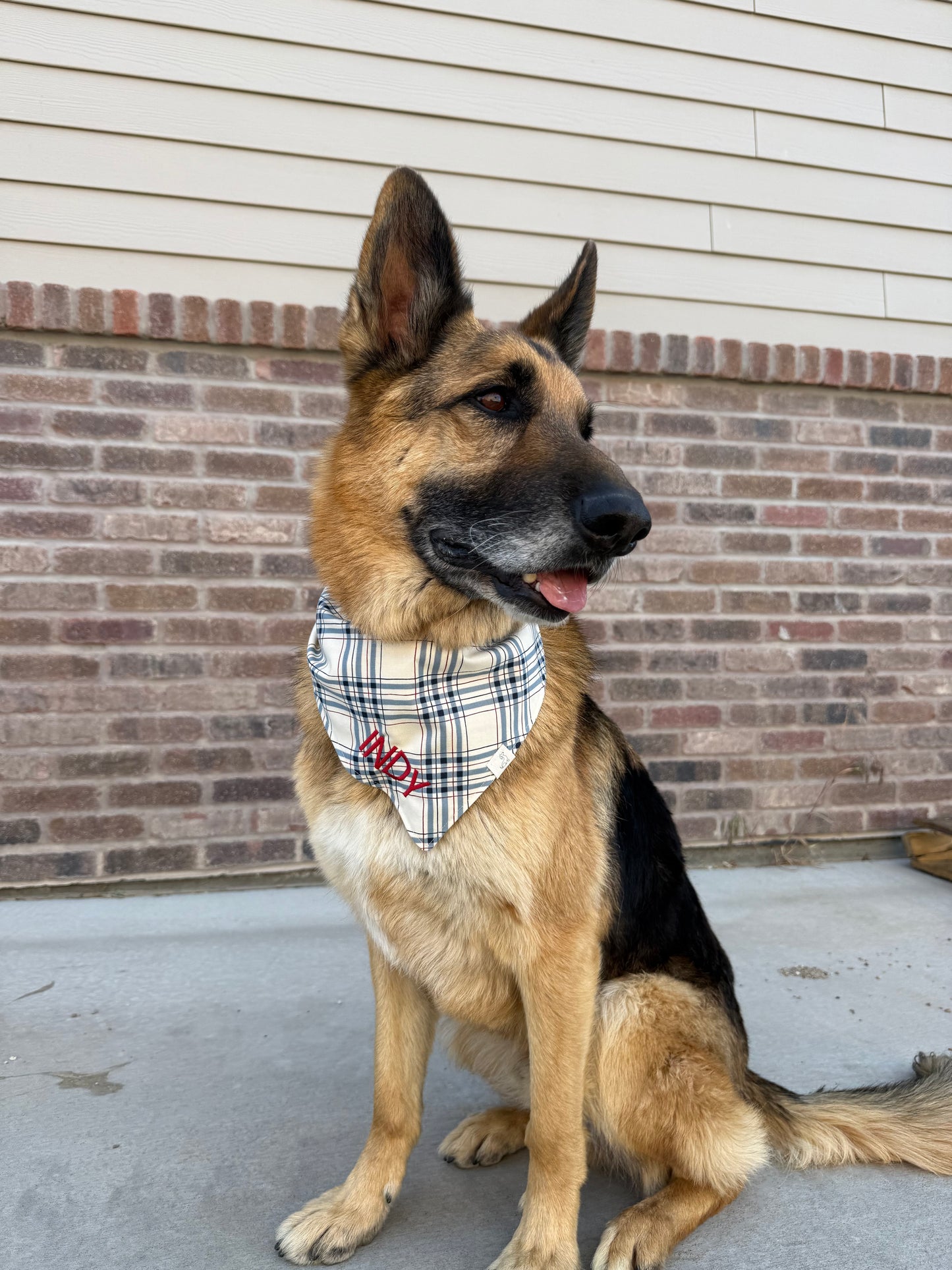 Patriotic Plaid Bandana - Woodles Made