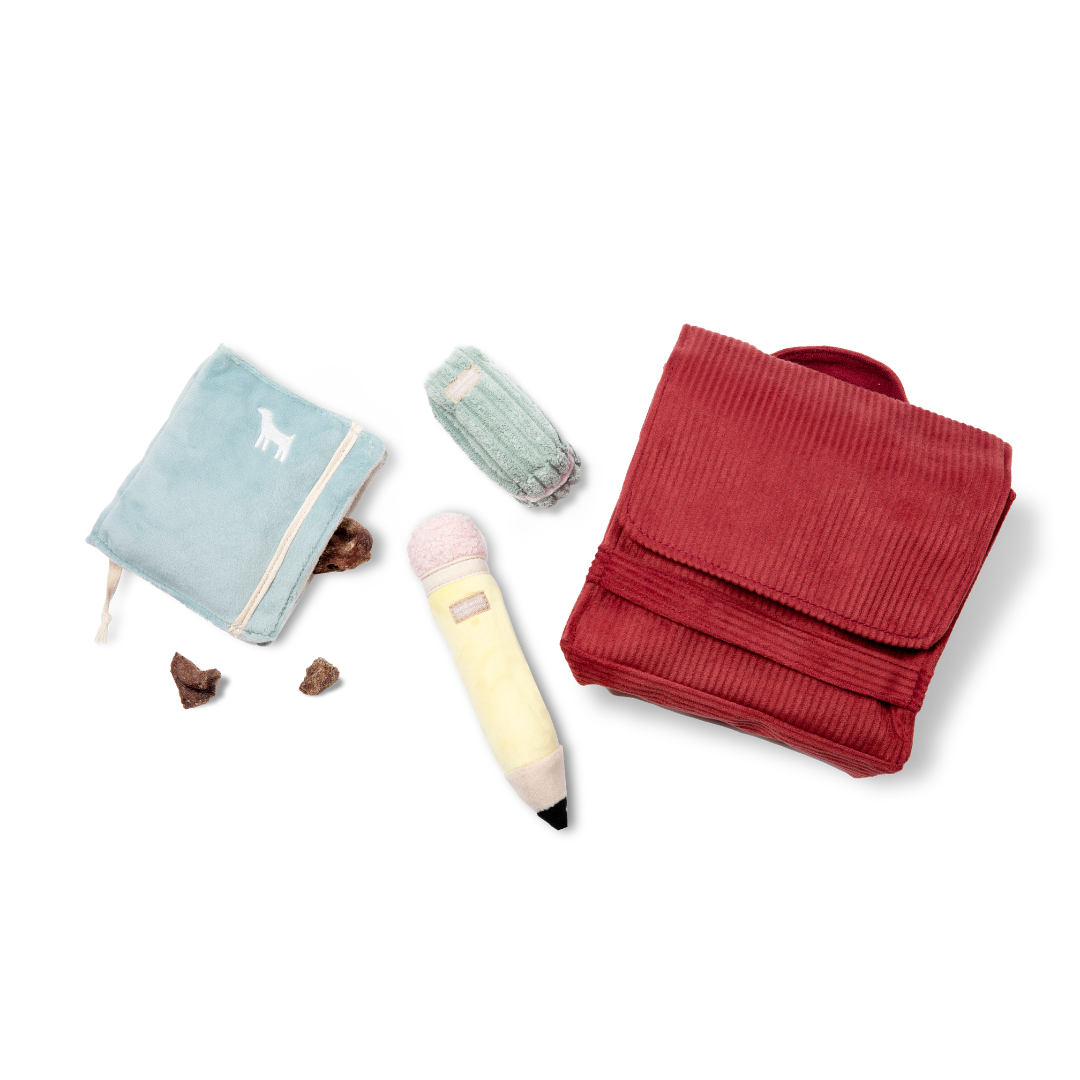 2-in-1 Back to School Enrichment Play Set