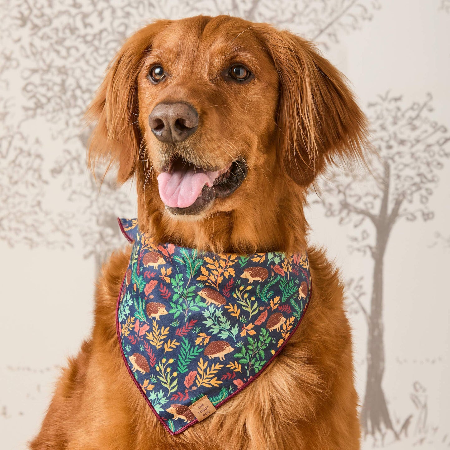 Hedgehog Hollow Dog Bandana