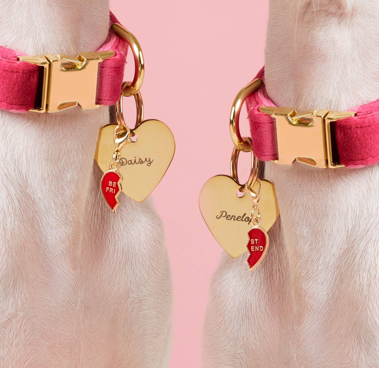 BFF Hearts Collar Charm