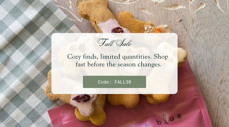 Fall 2025 Collection