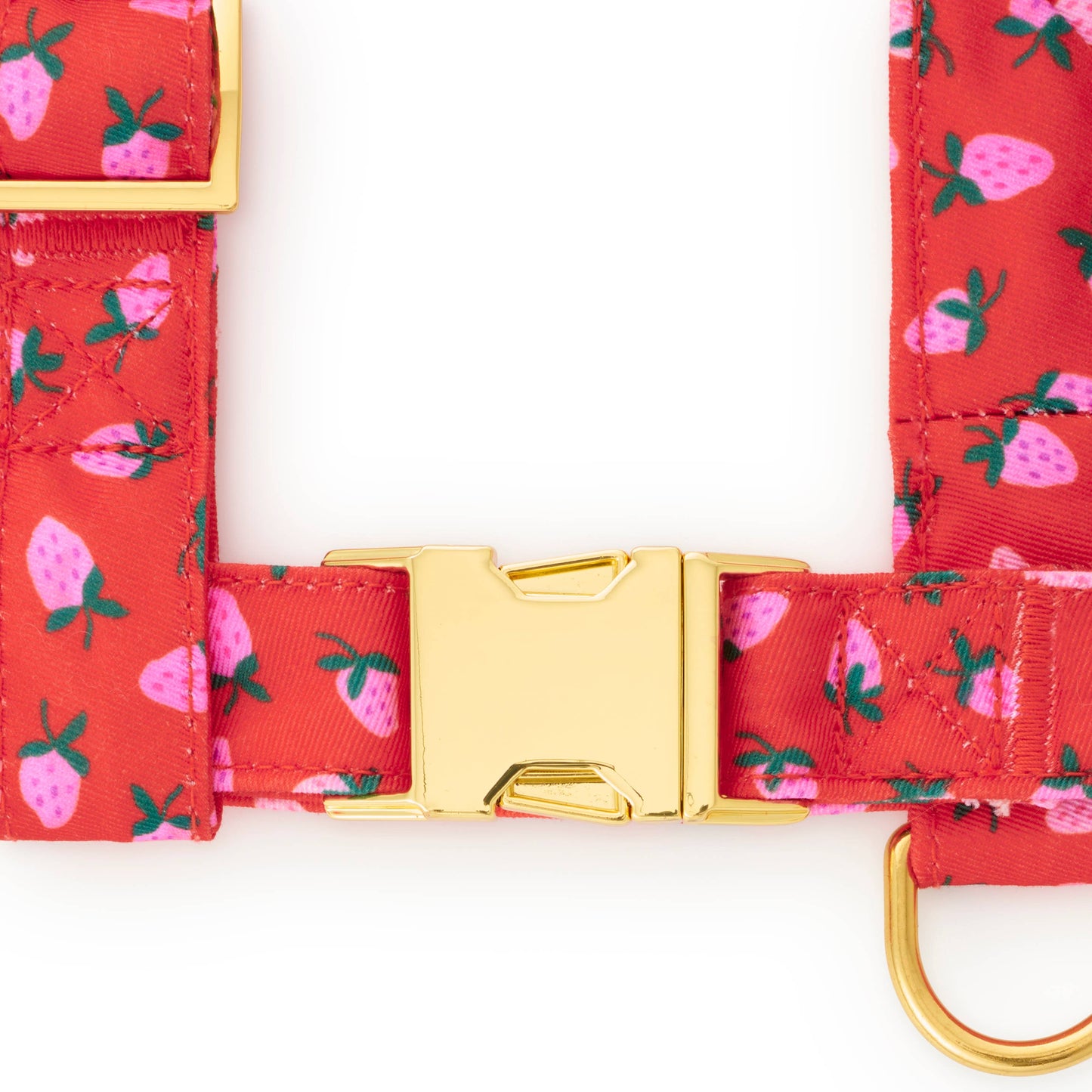 Berry Sweet Dog Harness