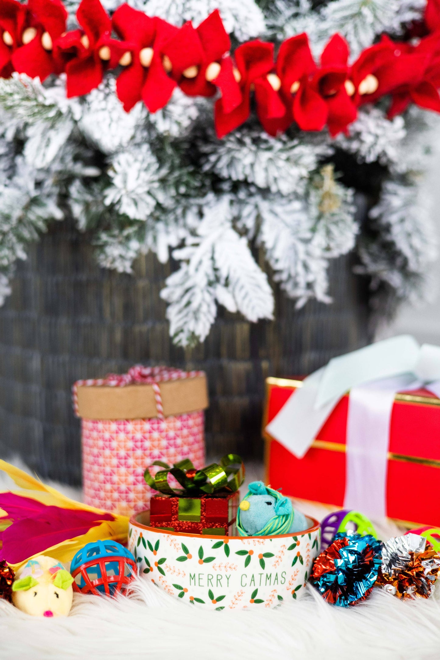 Merry Catmas, Cat Holiday And Christmas Feeding Bowl