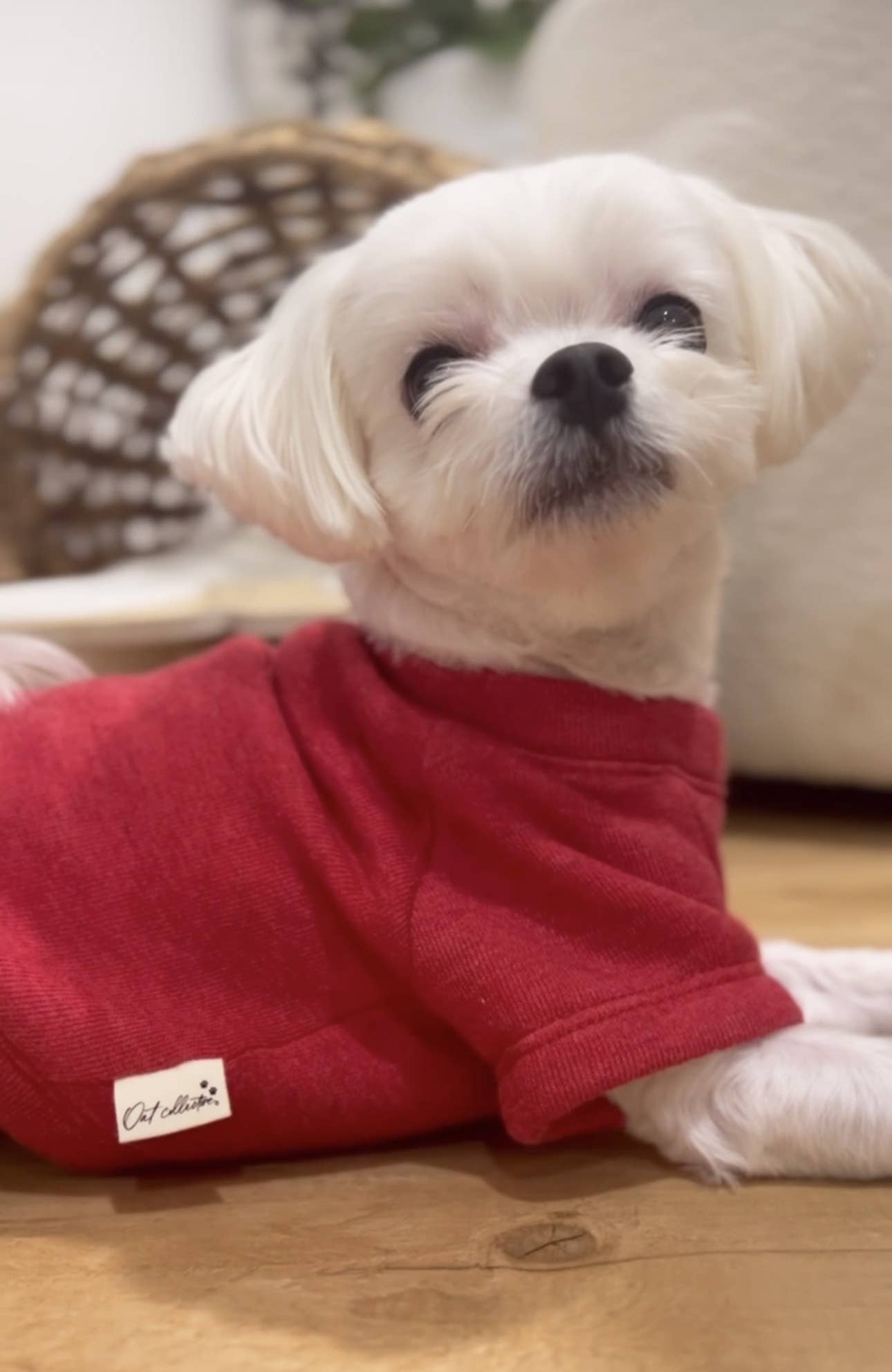 MERRY CHRISTMAS YA FILTHY ANIMAL Pet Graphic Sweatshirt