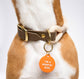 I'm a Huntin' Dog Pet Tag
