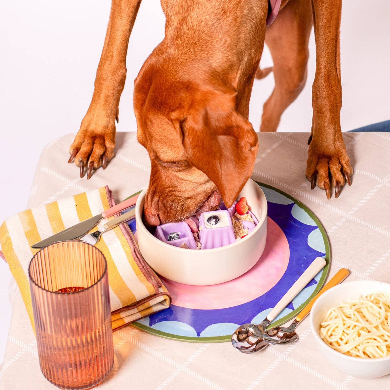 Snackaroni Slow Feeder Insert & Lick Mat