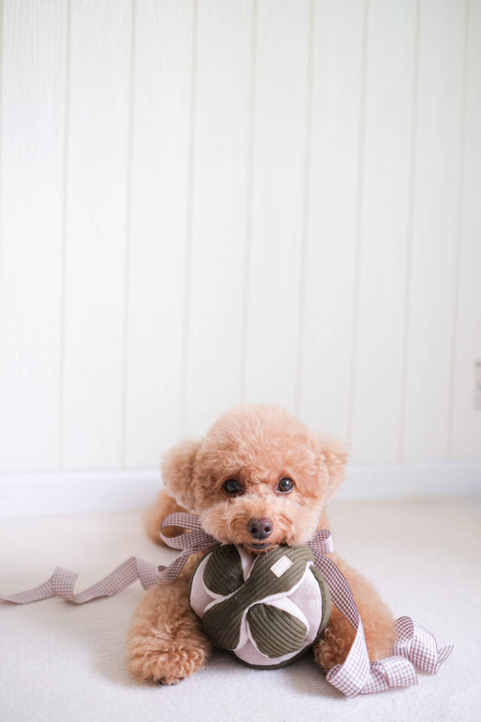 Monti Dog Enrichment Toy