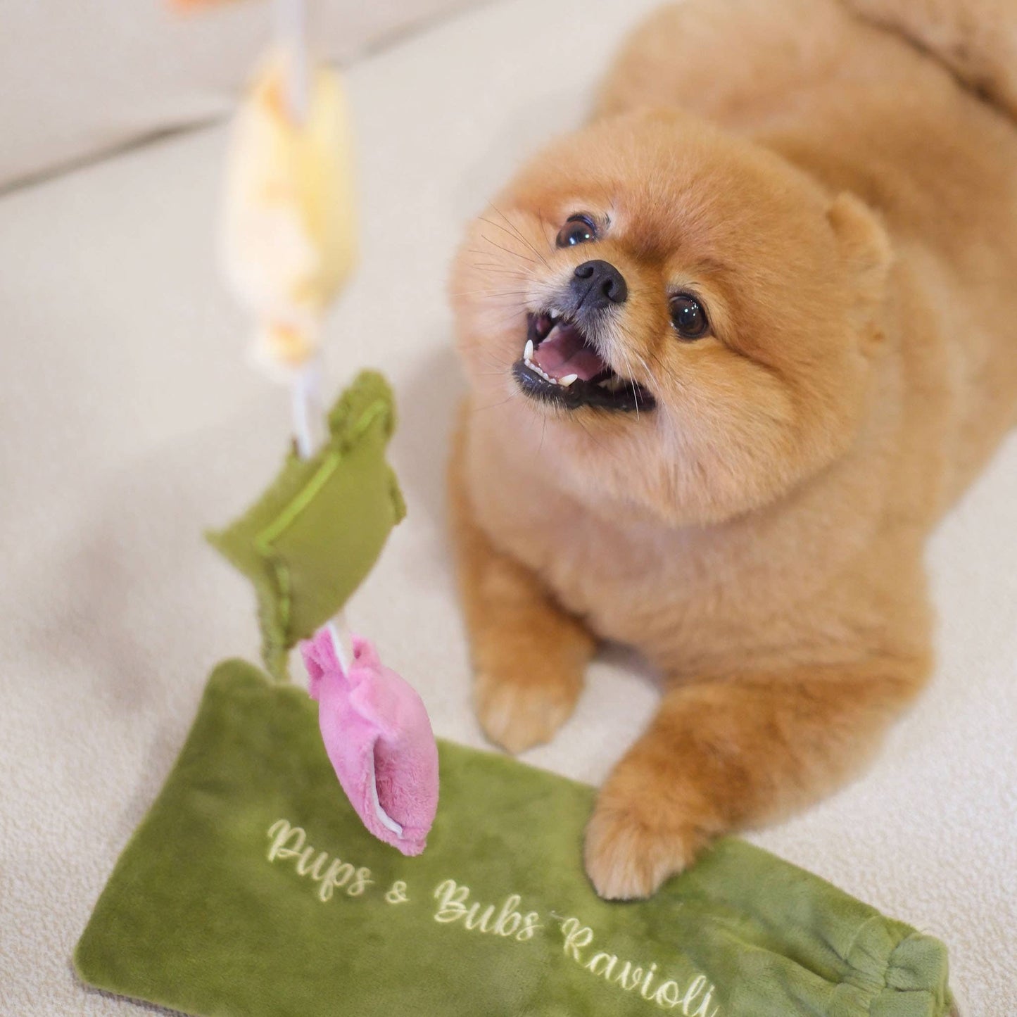 Ravioli Nosework Enrichment Toy