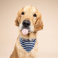 Everyday Stripe Dog Bandana