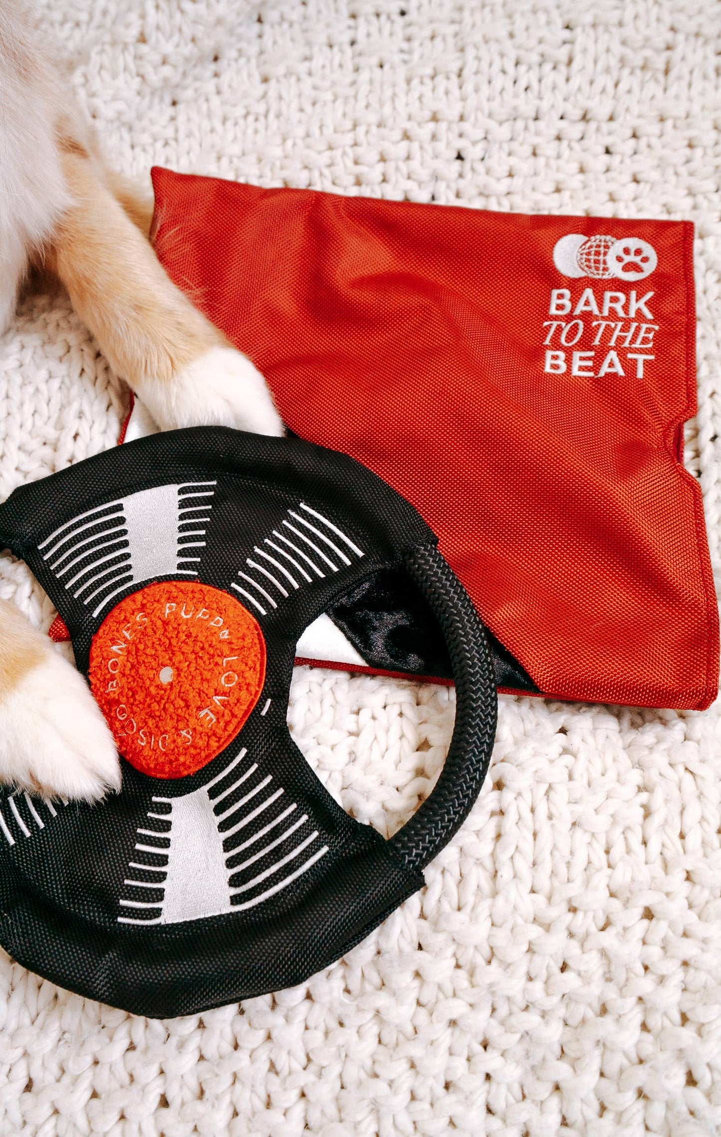 Record Dog Enrichment Toy