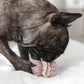 2-in-1 Petite Bakery Enrichment Dog Toy