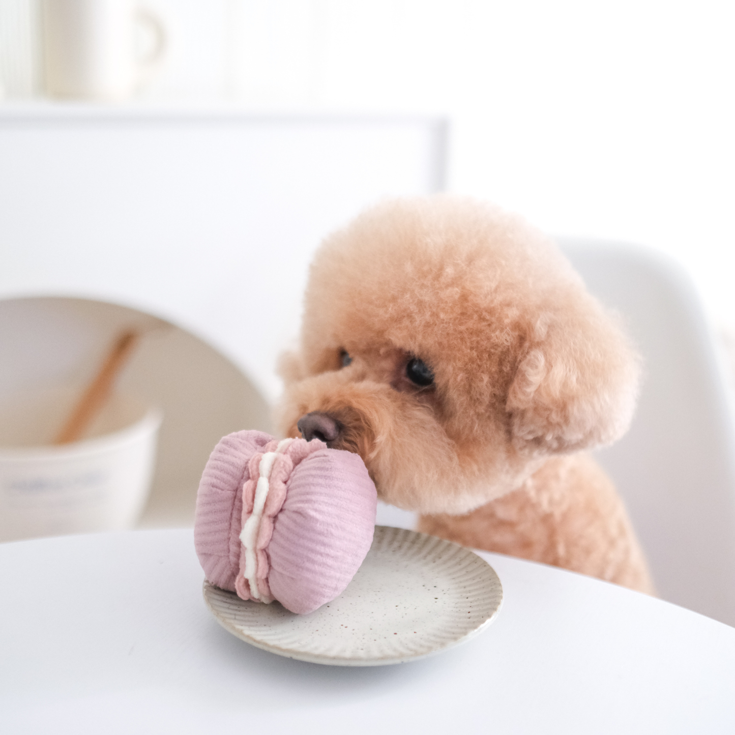 2-in-1 Petite Bakery Enrichment Dog Toy