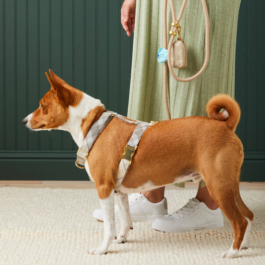 Andover Plaid Flannel Harness