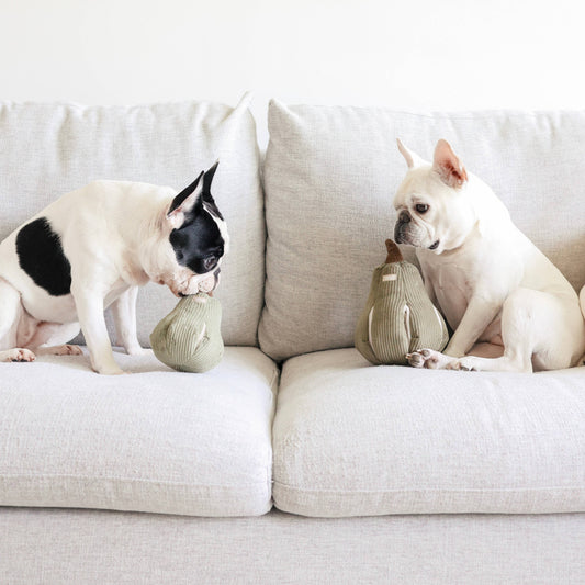 Butternut Squash Enrichment Dog Toy