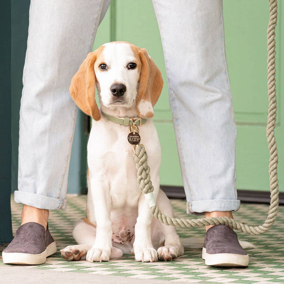 Sage Dog Collar