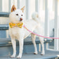 Orchid Pink Marine Rope Dog Leash