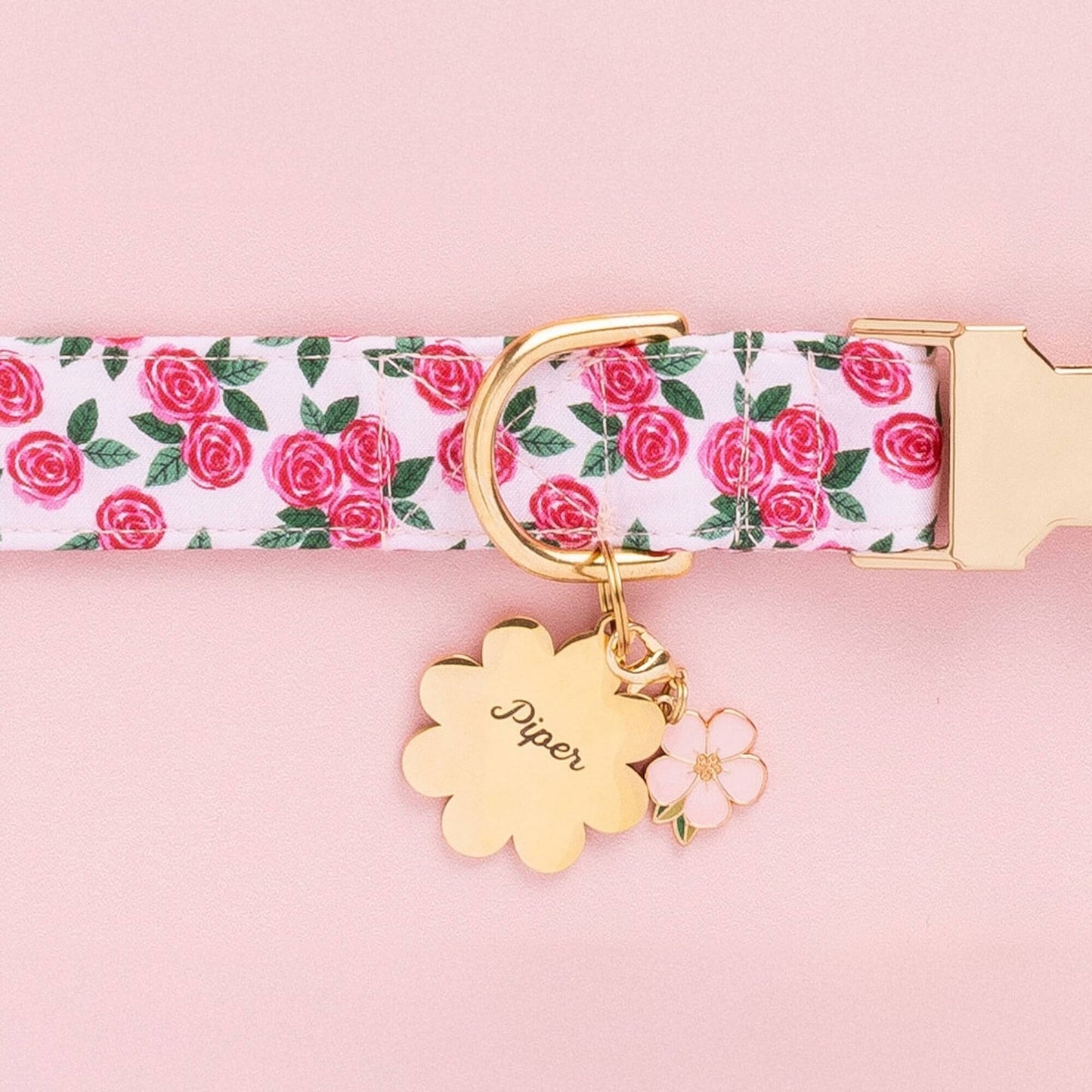 Rosette Dog Collar