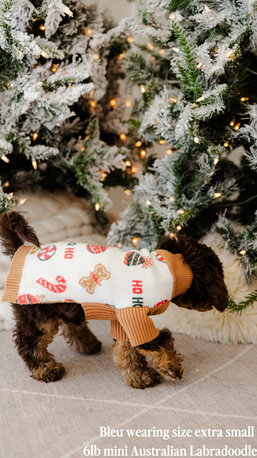 Rosy Plaid Dog Sweater