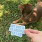 Anxious Dog Sticker
