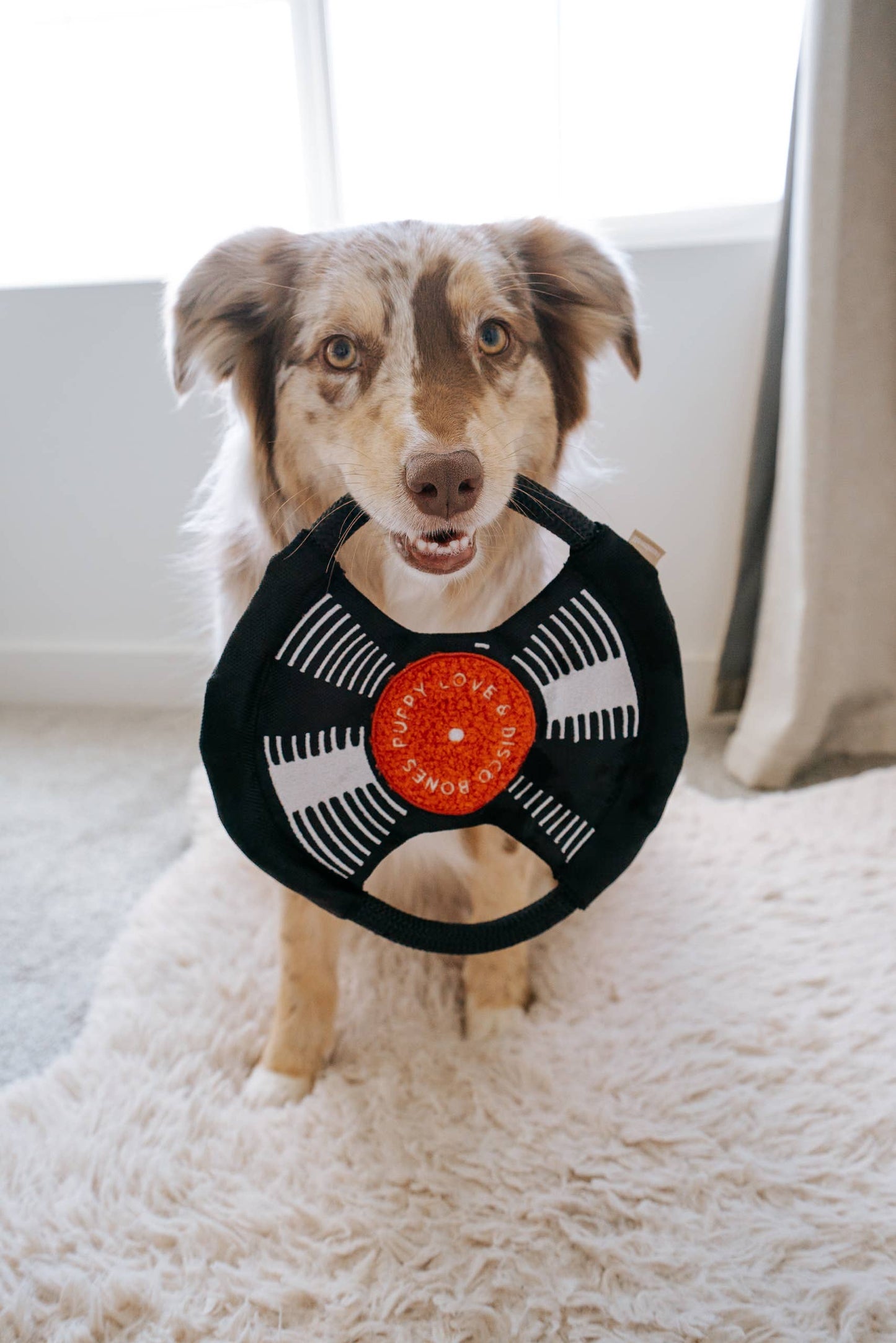 Record Dog Enrichment Toy