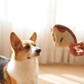 Deep Dish Pizza Dog Enrichment Toy