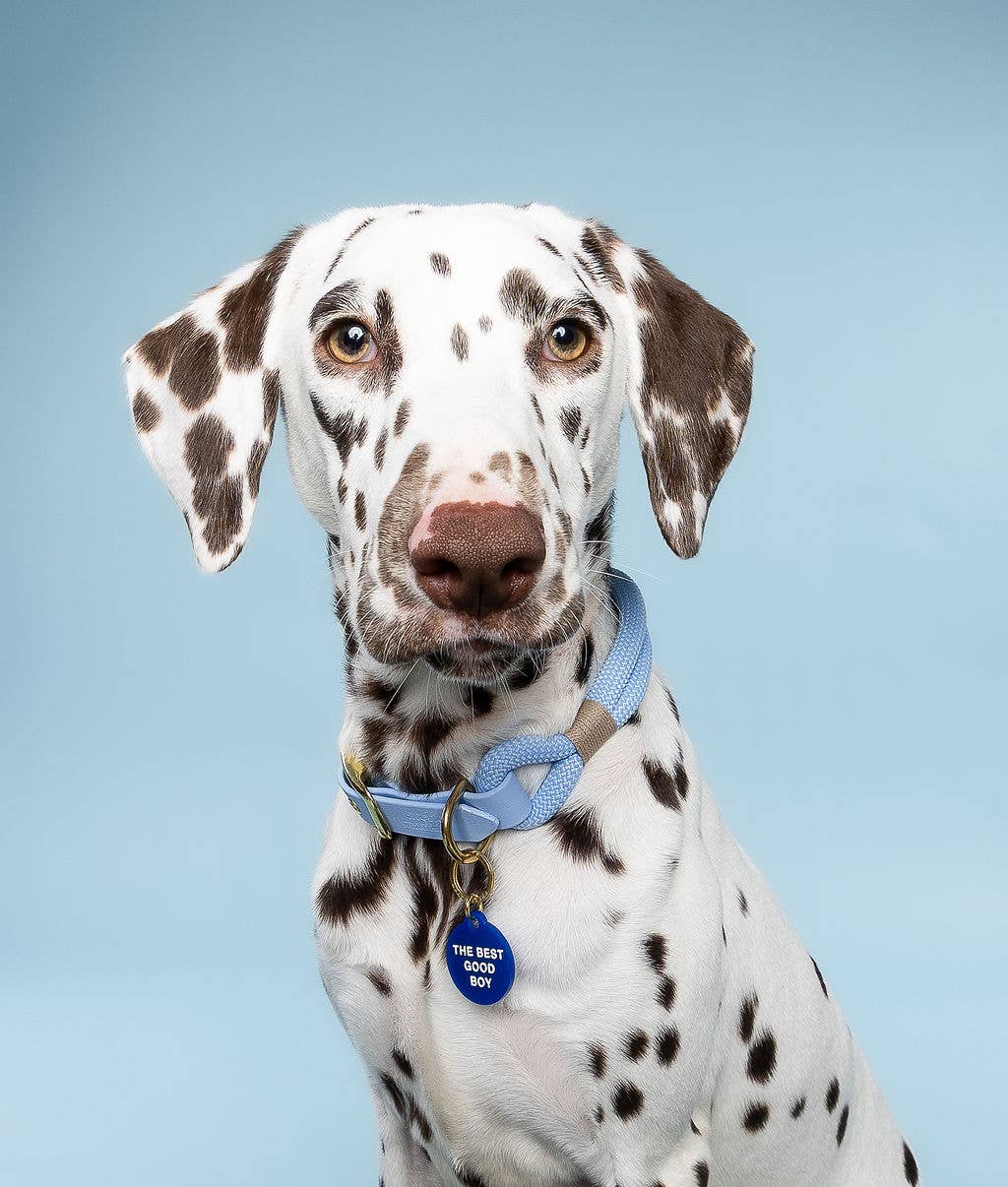 The Best Good Boy Pet Tag