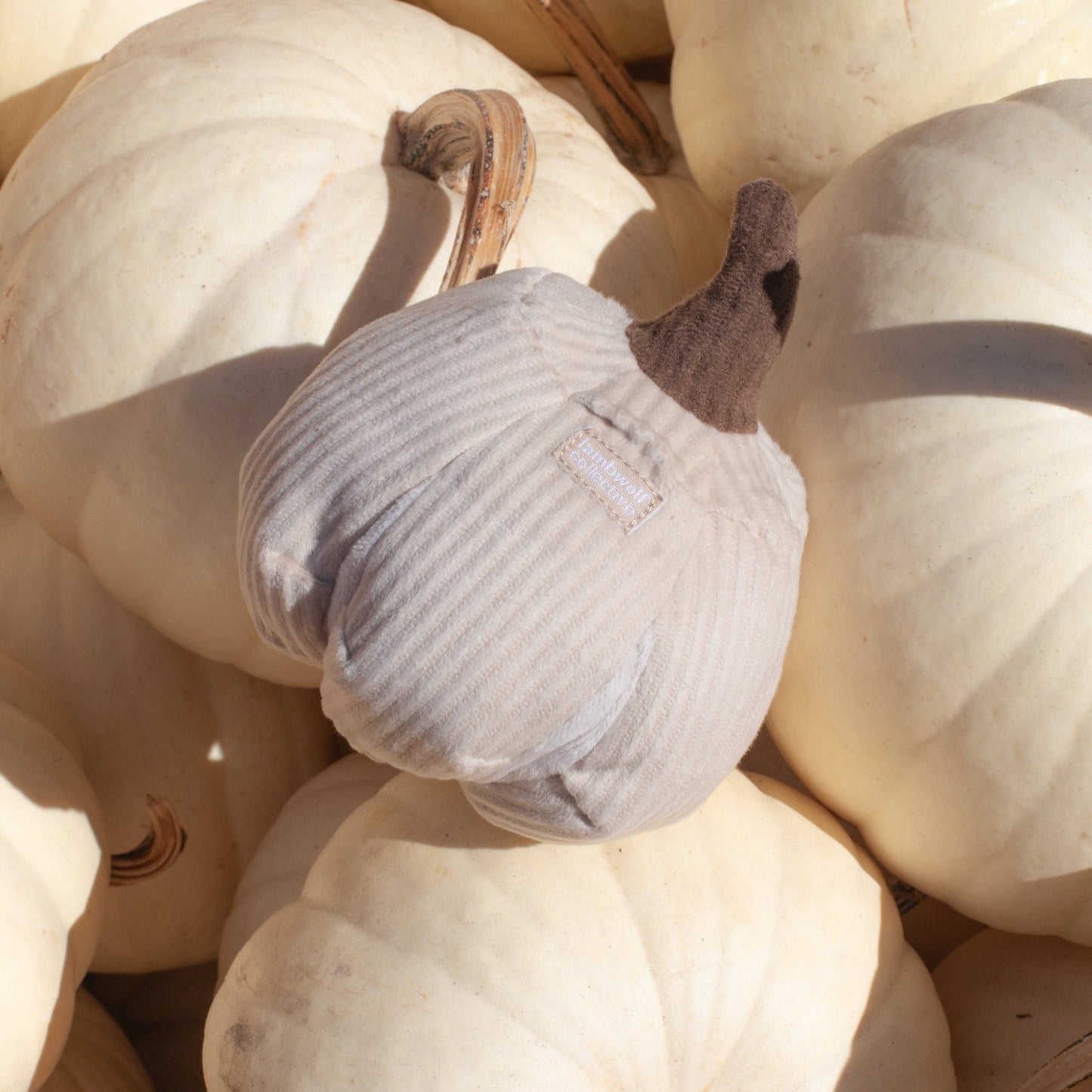 BOO! Pumpkin Enrichment Dog toy