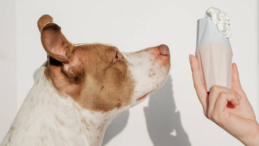 Modern Treat Filler/Stuffer Toy for Dogs - The Ubbe