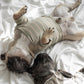 Chelsea Dog Shirt