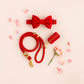 Ruby Red Marine Rope Dog Leash