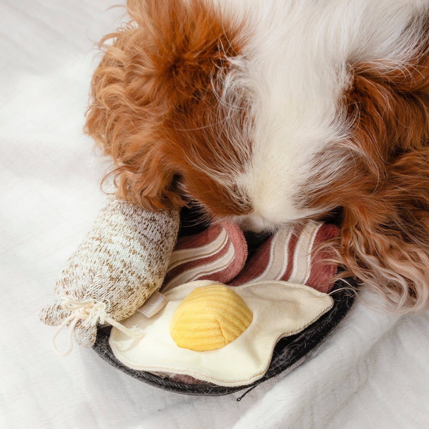 Breakfast Set Dog Enrichment Toy