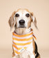 Nusa Dog Bandana