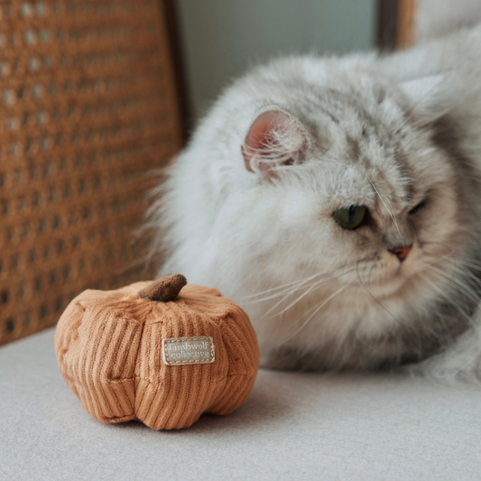 Kitty Veggie Set Toy