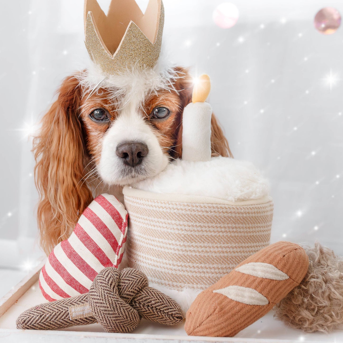 Birthday Cake Burrow Enrichment Dog Toy