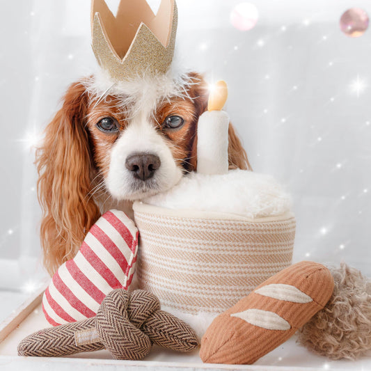 Birthday Cake Burrow Enrichment Dog Toy