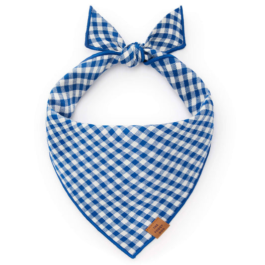 Lake Blue Gingham Dog Bandana