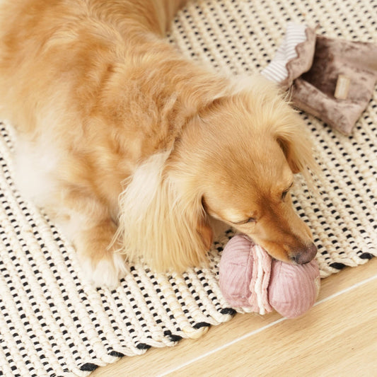 2-in-1 Petite Bakery Enrichment Dog Toy
